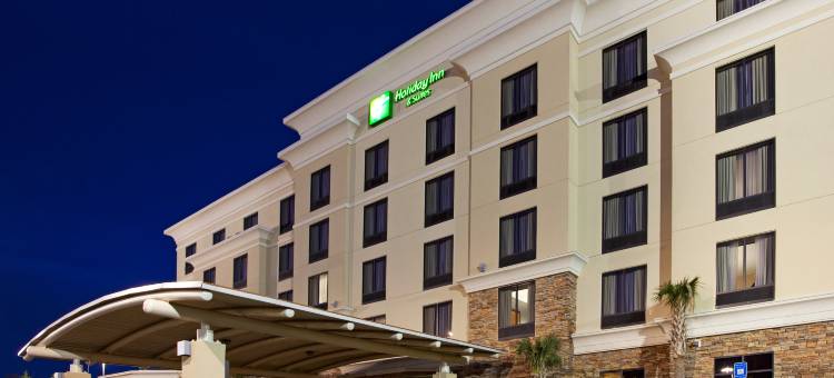 斯托布里奇亚特兰大75号州际公路假日酒店(Holiday Inn & Suites STOCKBRIDGE/ATLANTA I-75 by IHG)图片