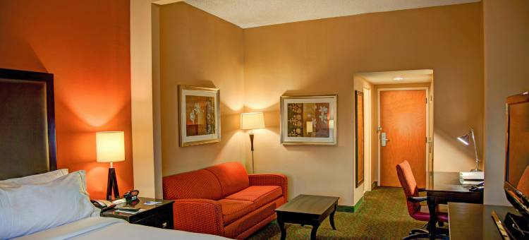 智选假日套房酒店泰勒南(Holiday Inn Express & Suites Tyler South)图片