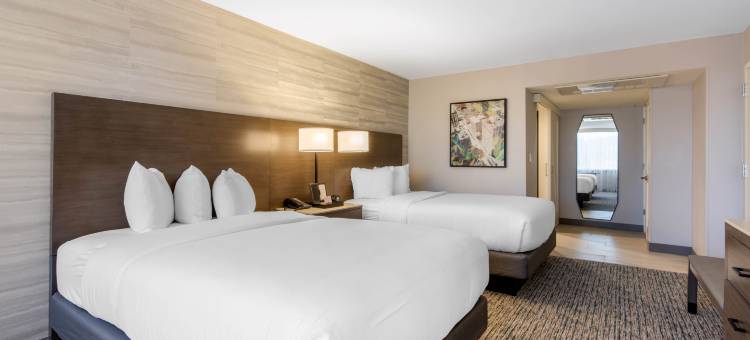 佩利米特公园希尔顿逸林酒店(DoubleTree by Hilton Birmingham Perimeter Park)图片