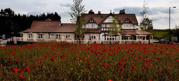 托德维克红狮酒店 - 格林国王旅馆(The Red Lion Inn by Chef & Brewer Collection)图片