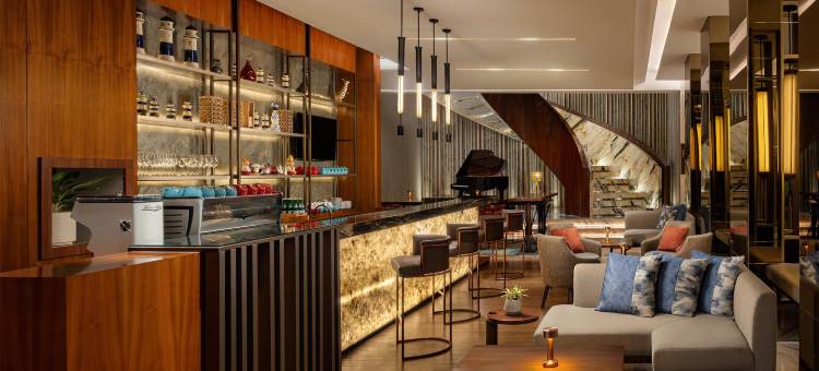 楠榜科达顿丽笙酒店(Radisson Lampung Kedaton)图片