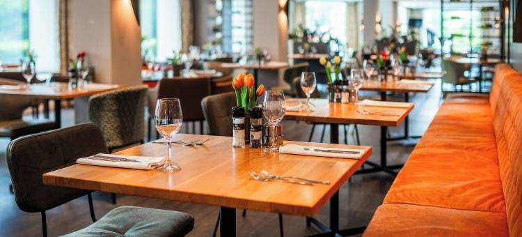 祖特尔梅尔-海牙金色郁金香酒店(Golden Tulip Zoetermeer - Den Haag)图片
