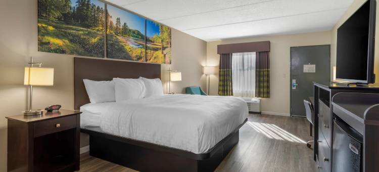 克拉丽奥波因特金博尔精选酒店(Clarion Pointe Kimball by Choice Hotels)图片