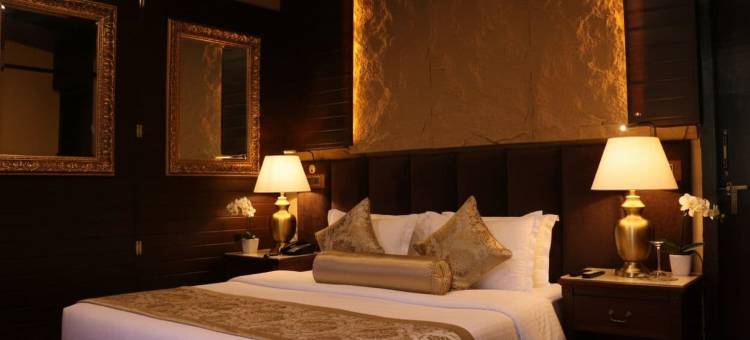 SnugBug 卡索尔(SnugBug Kasol)图片