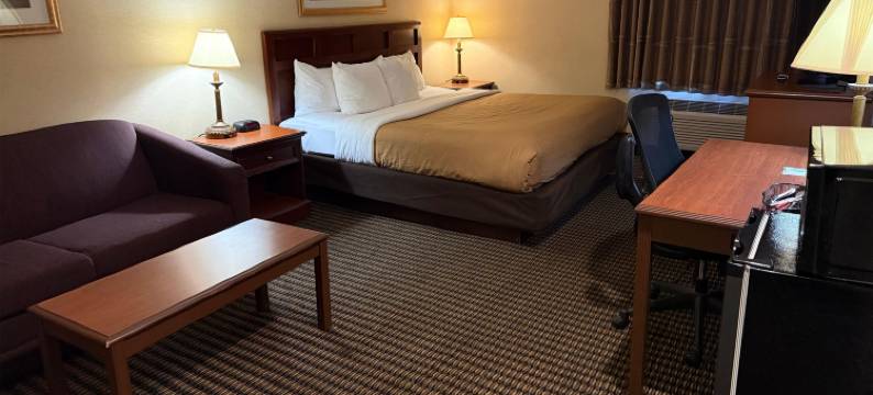 利沃尼亚蔚景温德姆酒店(Wingate by Wyndham Livonia)图片