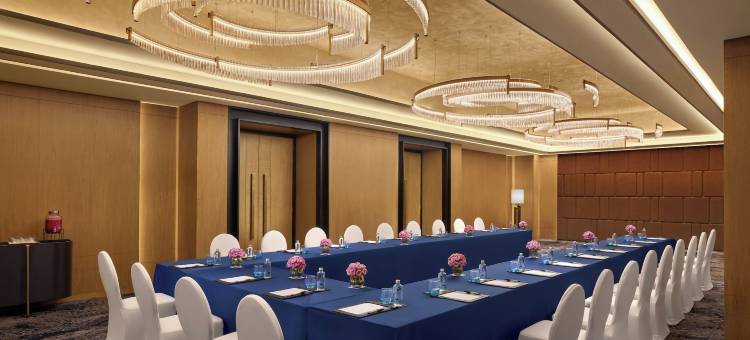 艾哈迈达巴德凯悦酒店(Hyatt Regency Ahmedabad)图片