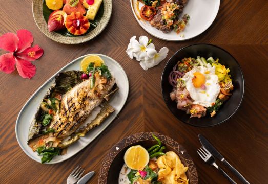 Novotel Nadi Hotel Overview