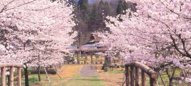 杣山花莲温泉酒店(Hanahasuonnsenn Somayama)图片