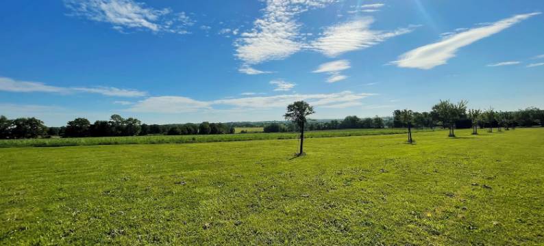 拉佩蒂特费利克斯(La Petite Félixière)图片
