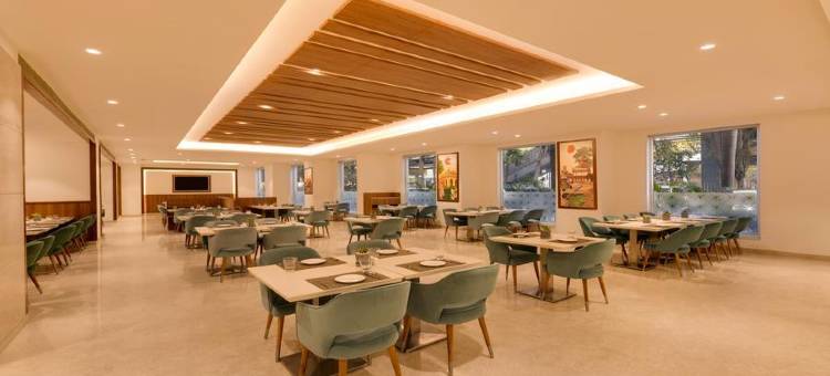 海得拉巴柠檬树海德拉巴科技城尊贵酒店(Lemon Tree Premier Hitec City Hyderabad)图片