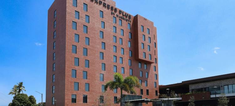 坦皮科万豪城市快捷普拉斯酒店(City Express Plus by Marriott Tampico)图片