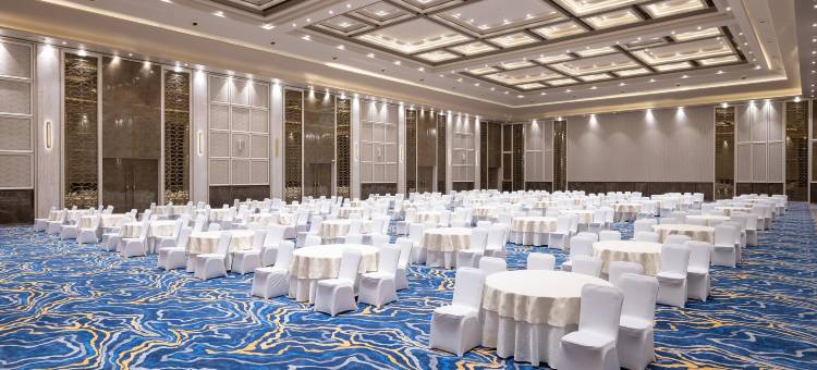 梅尔利斯酒店科印巴托(Merlis Hotel Coimbatore)图片