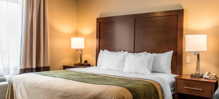 兰开斯特县舒适酒店(Comfort Inn Lancaster County)图片