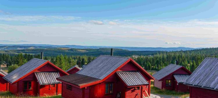 诺德瑟特山庄酒店(Lillehammer Fjellstue og Hytteutleie)图片