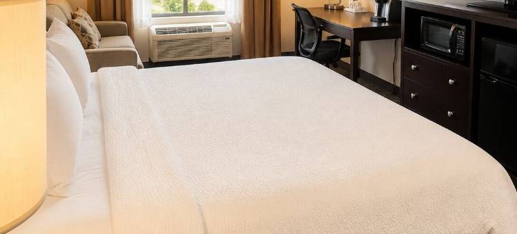 诺克斯维尔西部-雪松崖假日酒店(Holiday Inn KNOXVILLE WEST- CEDAR BLUFF RD by IHG)图片