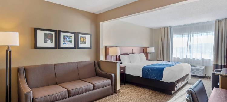大学区舒适套房标准酒店(Comfort Suites Normal University Area)图片