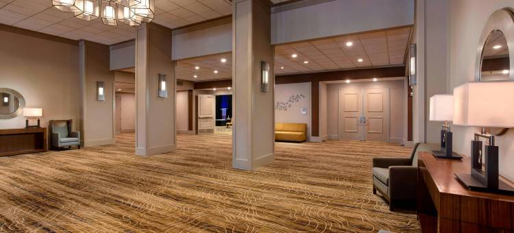 休斯顿乔治布什洲际机场万豪酒店(Houston Airport Marriott at George Bush InterContinental)图片