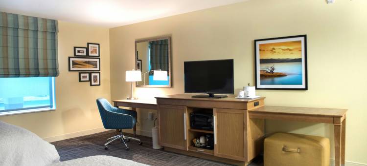 大瀑布城欢朋酒店(Hampton Inn Big Rapids)图片