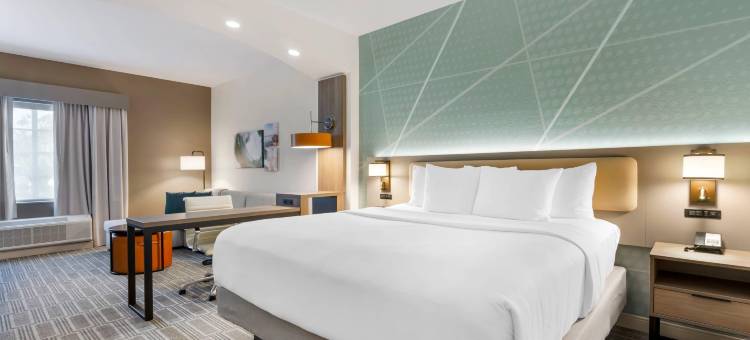 夏洛特港-蓬塔戈尔达舒适套房酒店(Comfort Inn & Suites Port Charlotte-Punta Gorda)图片