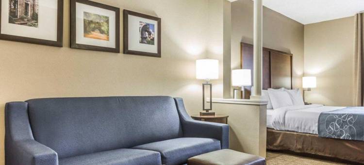 棕榈岛科耐特舒适套房酒店(Comfort Suites at Isle of Palms Connector)图片