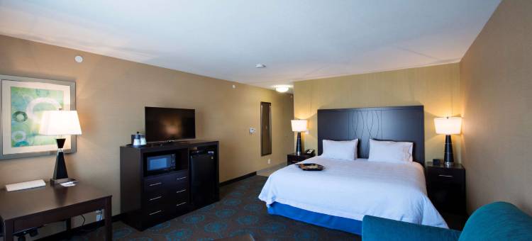 萨斯卡通南希尔顿欢朋酒店(Hampton Inn by Hilton Saskatoon South)图片