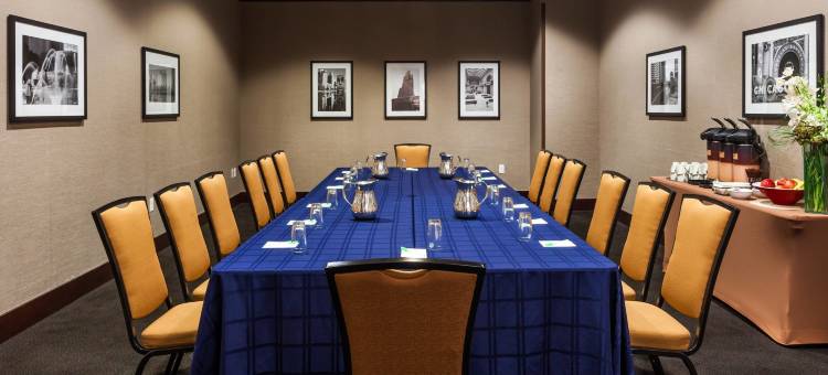 芝加哥市中心／河北岸万豪SpringHill酒店(SpringHill Suites Chicago Downtown/River North)图片