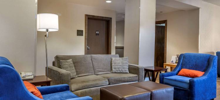 舒适酒店-费拉格尔斯塔夫幸运巷I-40(Comfort Inn Flagstaff Lucky Lane I-40)图片