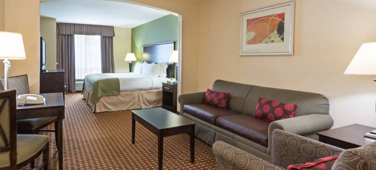Holiday Inn 代托纳比奇LPGA BLVD(Holiday Inn Daytona Beach LPGA Boulevard)图片