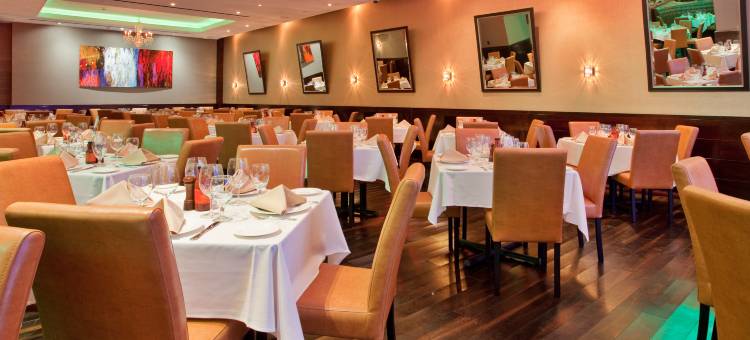 纽约中央公园南中城西区希尔顿花园酒店(Hilton Garden Inn New York Central Park South-Midtown West)图片