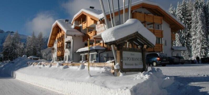 卢波比安科健康酒店(Wellness Hotel Lupo Bianco)图片