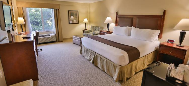 智选假日套房酒店阿什维尔闹市(Holiday Inn Express & Suites Asheville Downtown)图片