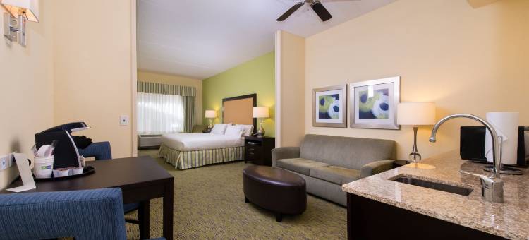 智选假日套房酒店迪克森城 - 斯克兰顿(Holiday Inn Express & Suites Dickson City - Scranton)图片