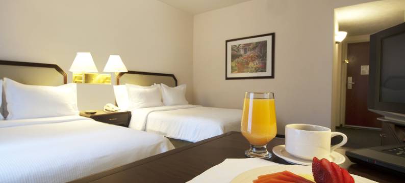 托卢卡特罗肯嘉年华酒店(Fiesta Inn Toluca Tollocan)图片