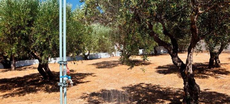 新极光-入住酒店(New Aurora Apts Studios)图片