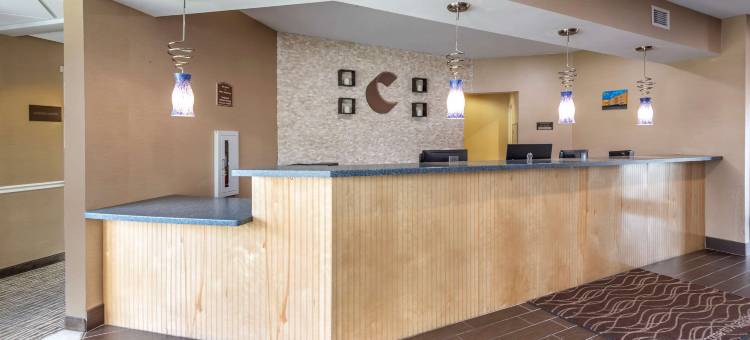 阿巴拉钦/宾汉顿西 17 号公路舒适酒店(Comfort Inn Apalachin / Binghamton W Route 17)图片