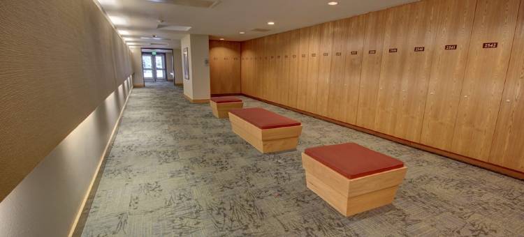 圣约翰2539(Saints John 2539)图片