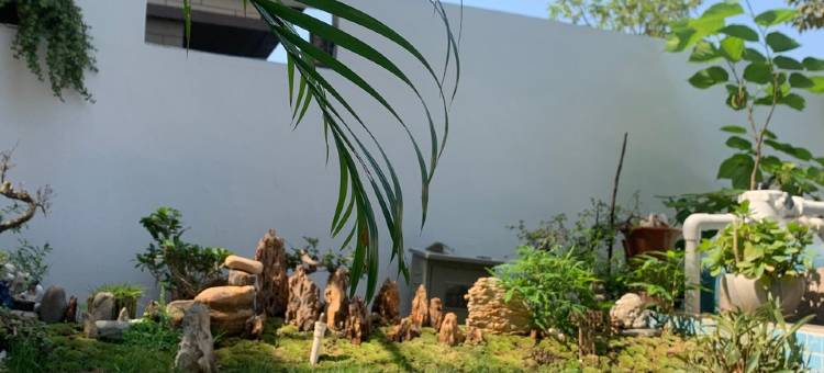 卿尘家度假别墅(四环路分店)图片