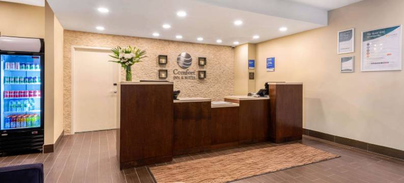 舒适套房酒店(Comfort Inn & Suites)图片