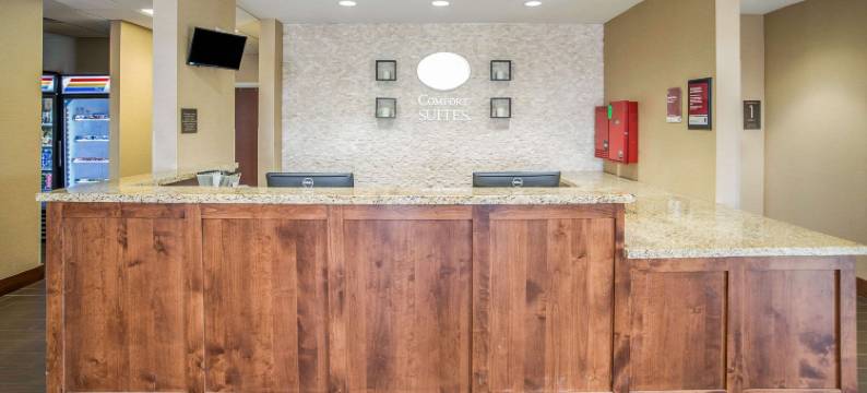 摩押靠近拱门国家公园舒适套房酒店(Comfort Suites Moab Near Arches National Park)图片