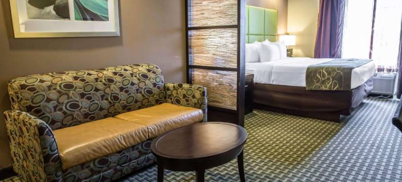 新伯尔尼和樱桃角舒适套房酒店(Comfort Suites New Bern Near Cherry Point)图片