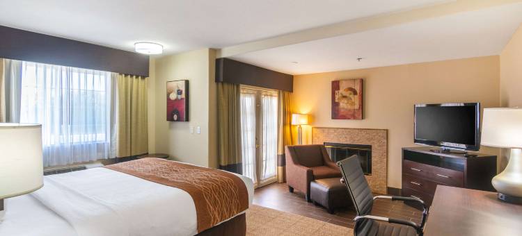 舒适套房酒店(Comfort Inn & Suites)图片