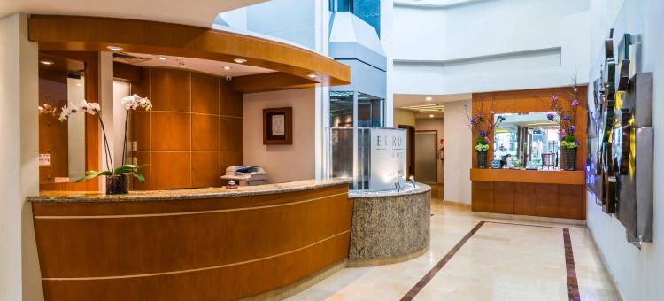 欧洲之星酒店(Eurostars Zona Rosa Suites)图片