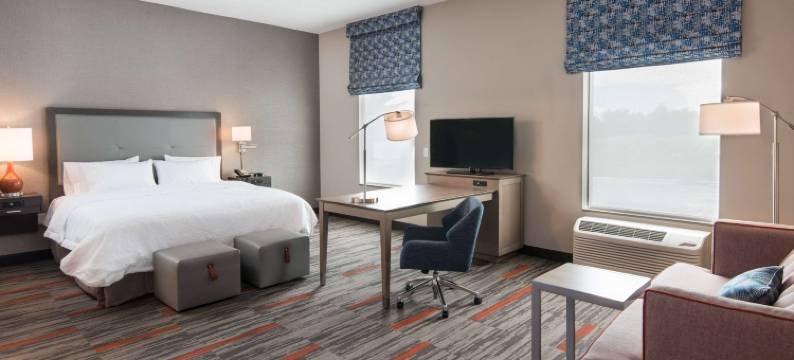 威斯康星德尔斯戴尔顿湖欢朋套房酒店(Hampton Inn & Suites Wisconsin Dells Lake Delton)图片