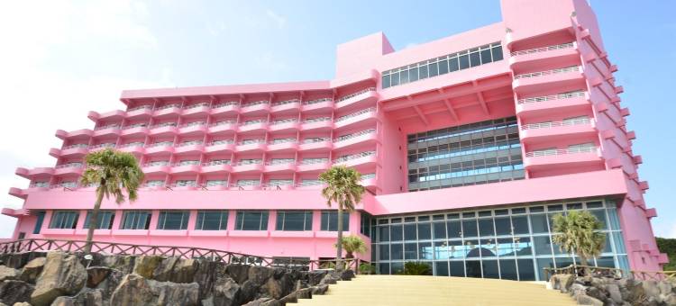 种子岛岩崎酒店(Tanegashima Iwasaki Hotel)图片