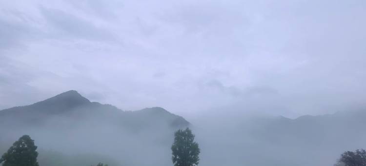 松阳云里听蛙民宿图片