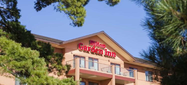 威斯康辛戴尔斯希尔顿花园酒店(Hilton Garden Inn Wisconsin Dells)图片