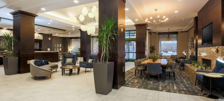 舍尔灵顿希尔顿花园旅馆(Hilton Garden Inn  Arlington Shirlington)图片