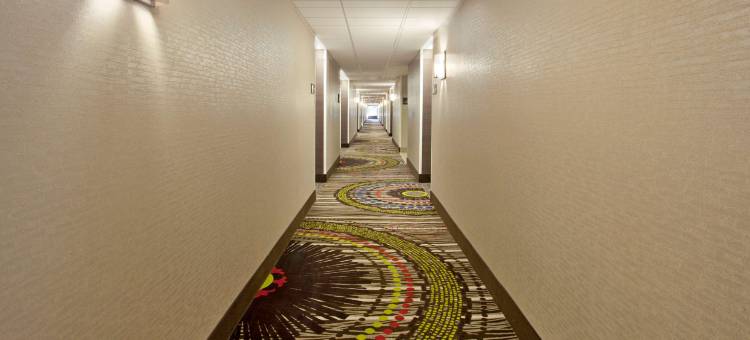 希尔顿欢朋套房酒店-纳什维尔士麦那(Hampton Inn & Suites Nashville-Smyrna)图片