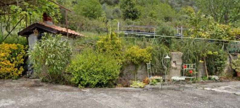 贾科莫家庭旅馆(Villa la Casa di Giacomo)图片