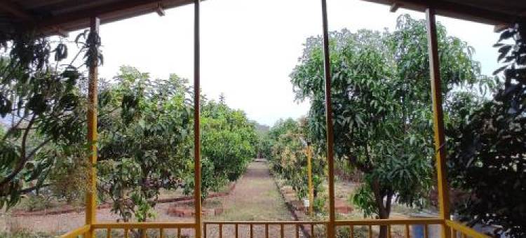 Raigad Agro Park图片